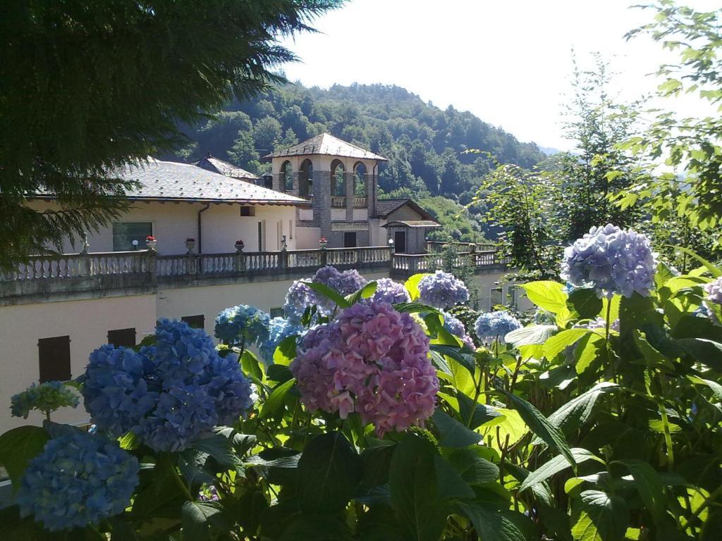 Hotel Villa Delle Ortensie Sant'Omobono Terme Экстерьер фото